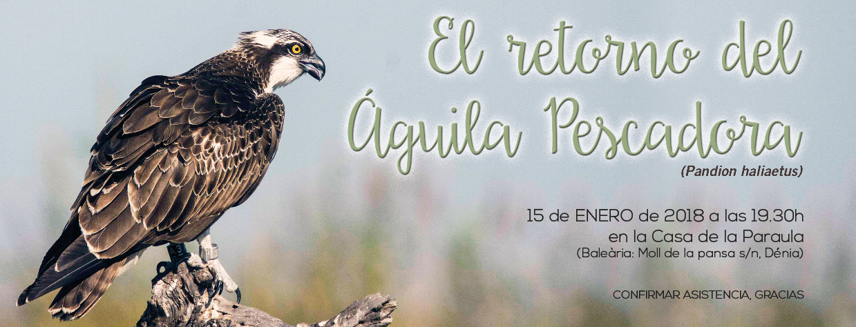 Presentación de los resultados del estudio para el proyecto ‘Reintroducción del Águila Pescadora en la comarca de la Marina Alta y la Safor’